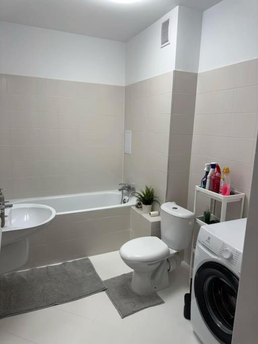 Apartment Dolnoslaski Przybytek